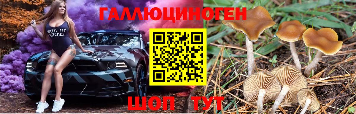 Псилоцибиновые грибы MAGIC MUSHROOMS  Вход с VPN  Барнаул 