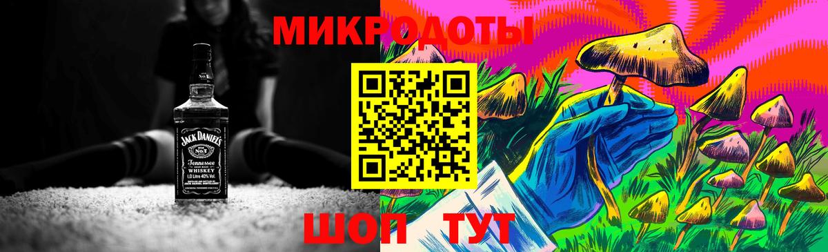 Галлюциногенные грибы Psilocybe Барнаул